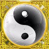 yin-yang: wild symbol - 5 elements