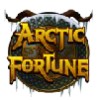 wild symbol - arctic fortune