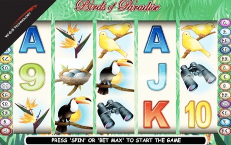 Birds of Paradise slot machine