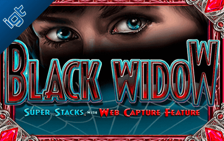 Black Widow slot machine
