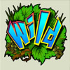 wild symbol - bush telegraph