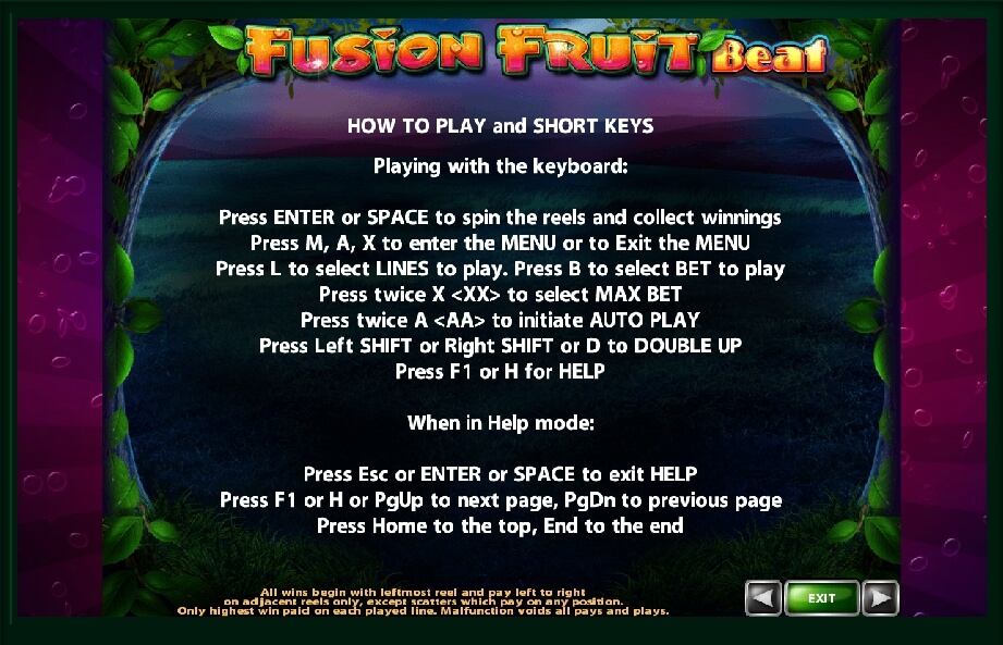 fusion fruit beat slot machine detail image 2