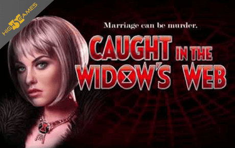 Caught in the Widows Web slot machine