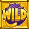 wild: wild symbol - copy cats