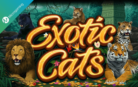 Exotic Cats slot machine