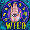 wild symbol - fortune teller