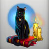 black cat - fortune teller