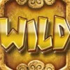 wild: wild symbol - jackpot giant