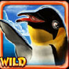 wild symbol - lucky 3 penguins