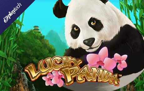 Lucky Panda slot machine