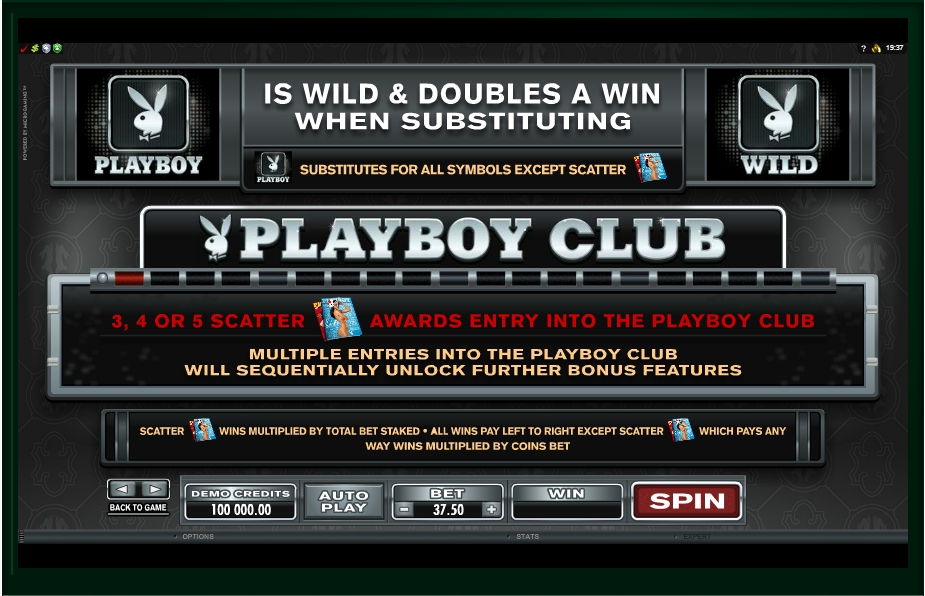 playboy slot machine detail image 3
