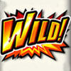 wild symbol - roaring forties