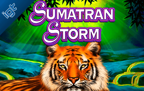 Sumatran Storm slot machine