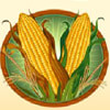 corn - sweet harvest