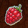 raspberries - taiga