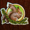squirrel - taiga
