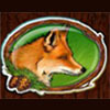 fox - taiga