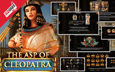 The Asp of Cleopatra slot machine