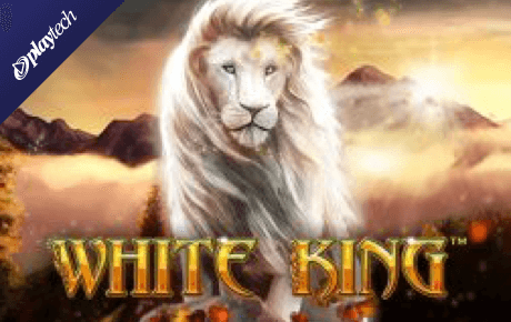 White King slot machine