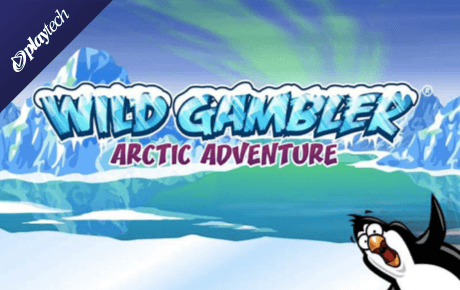Wild Gambler Arctic Adventure slot machine