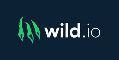 wild.io casino review logo